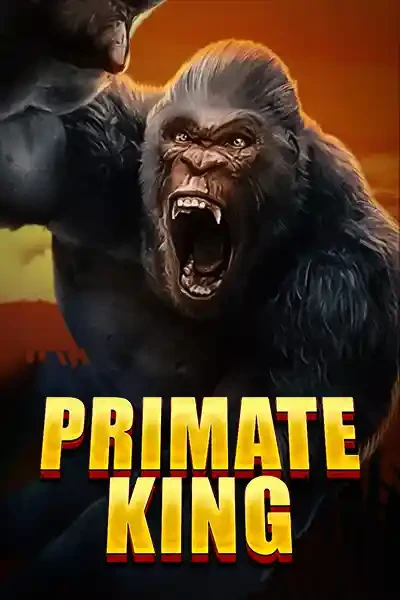 K88 Primate King
